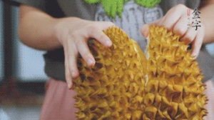 榴蓮剝好肉后，搗成泥狀。