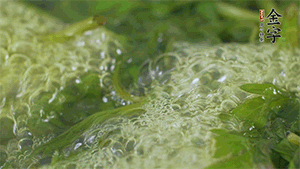 艾草葉放入煮沸的水中，加點食用堿，待變成深綠色時撈出，放入冰水中，瀝干備用。