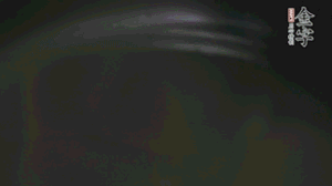 剝?nèi)ネ鈿さ墓S、切花刀的香菇、豌豆入沸水焯水。