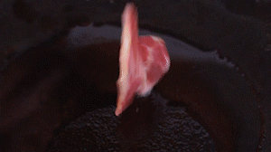 鍋中倒入橄欖油燒熱，放入淡火腿小火煸炒至打卷狀態(tài)。