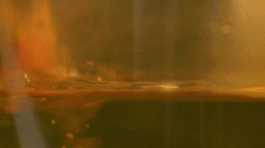 雞肉、鹽、料酒入冷水鍋水開(kāi)后撇去浮沫，溫水洗凈。