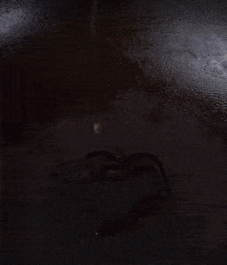 冷鍋熱油，下蒜片爆香，下香腸、玉米筍、蓮藕、西芹爆炒，期間加點水，翻炒1分鐘后加新鮮百合片，翻炒30秒。