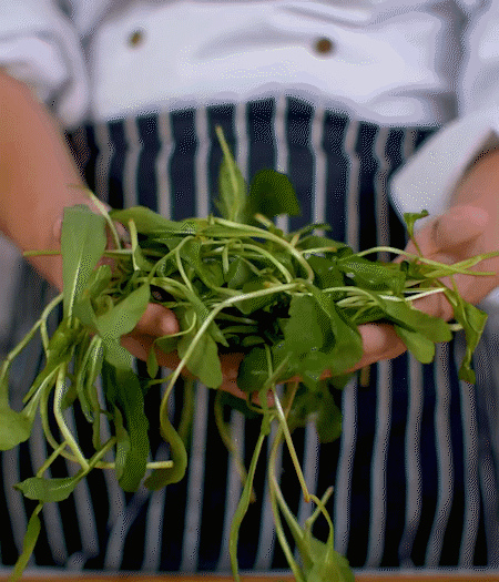 馬蘭頭焯水，切成細(xì)末。